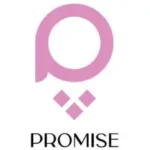 برومس Promise