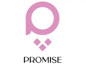 برومس Promise